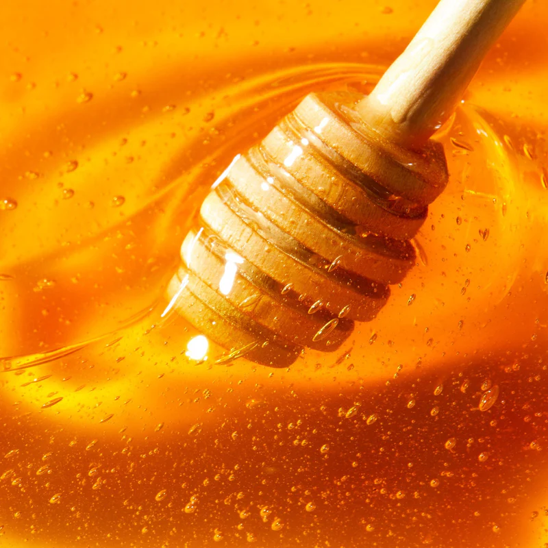 Soin Lèvres au Miel 10 ml