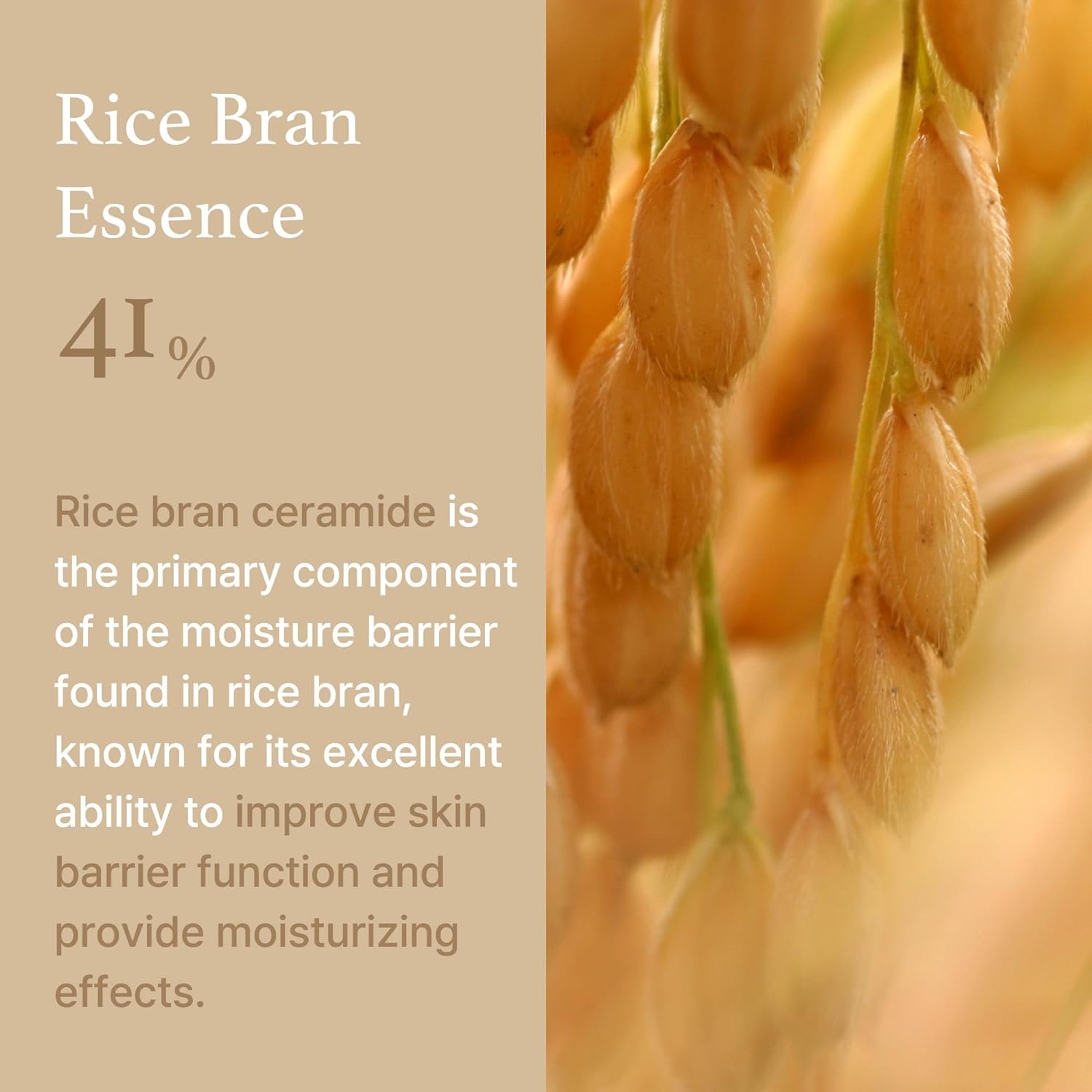I’M FROM Rice Cream كريم الأرز