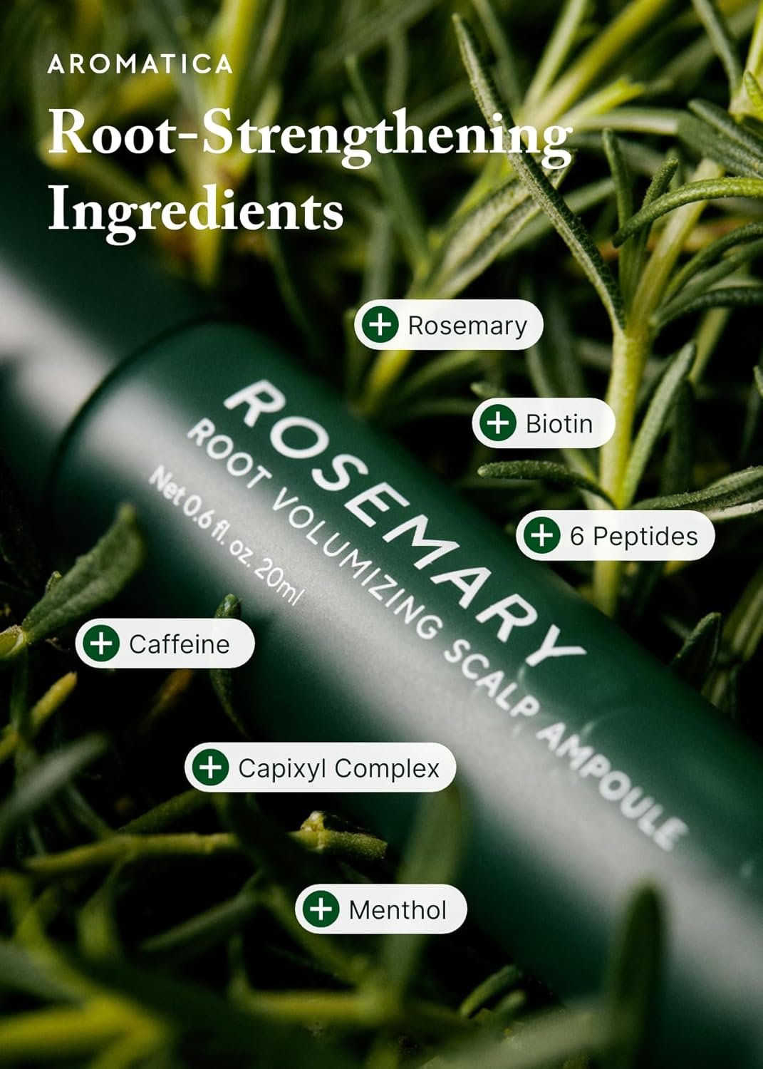 AROMATICA Rosemary Scalp Scaling Trial Kit – Travel Size Korean Hair Care Kit for Women with Mini Wooden Brush, Gentle Exfoliating Scalp Care for Hair Growth Product, with Rosemary Oil & Vegan Formula