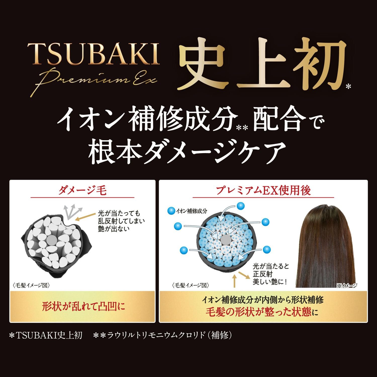 Tsubaki Premium EX Intensive Repair Shampoo for Damaged Hair and Root Care