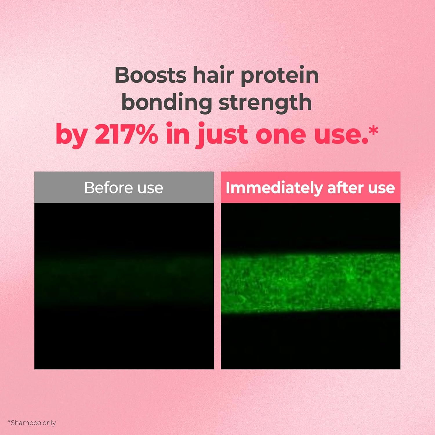 KUNDAL Protein Bonding Shampoo  and Conditioner