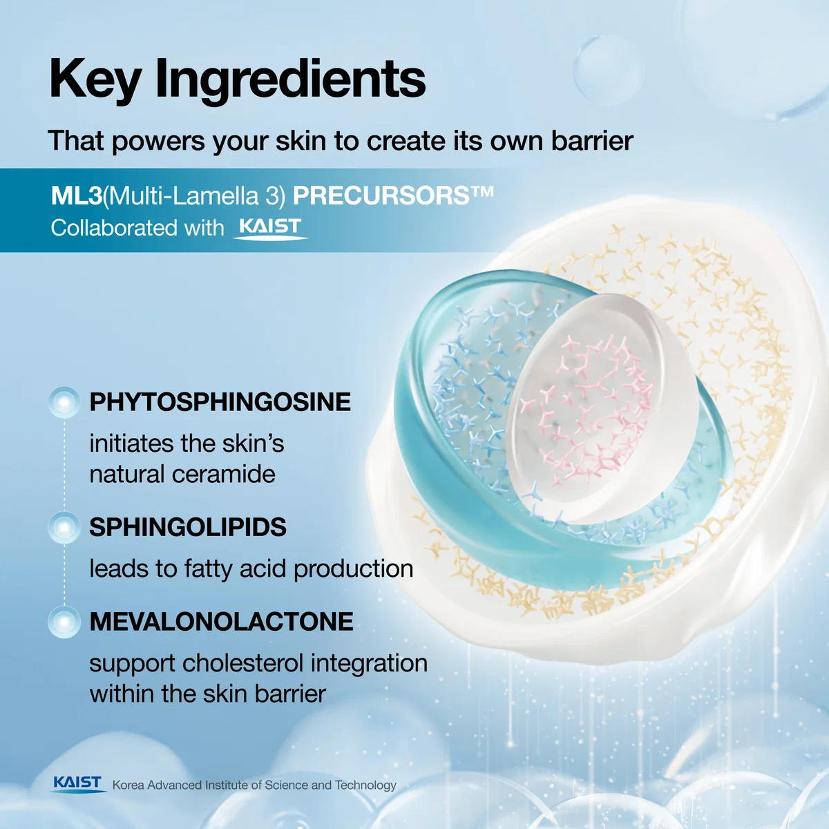 Anua Barrier Reboot Intensive Cream 50 ml