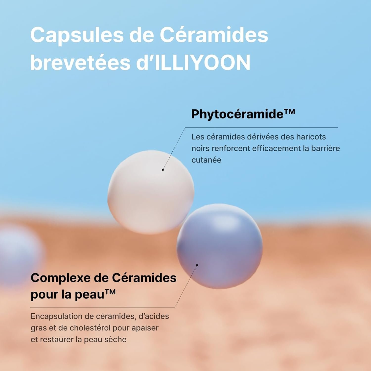 ILLIYOON – Ceramide Ato Concentrate Cream – Crème hydratante au céramide 200ML